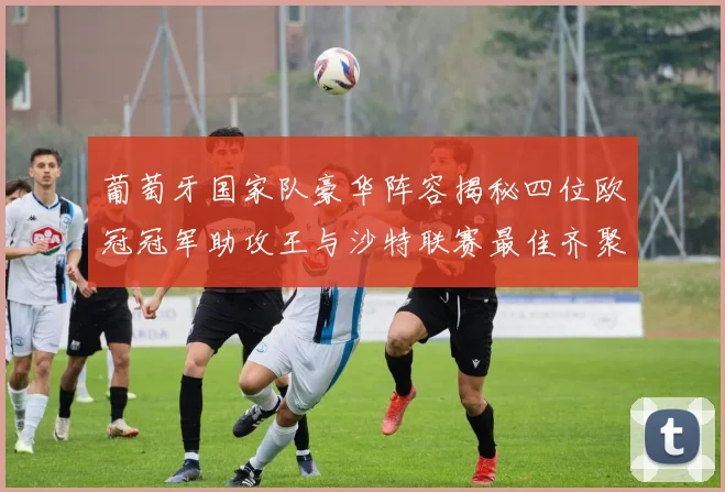 葡萄牙国家队豪华阵容揭秘四位欧冠冠军助攻王与沙特联赛最佳齐聚一堂